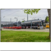 2021-05-21 Alstom Flexity Bruxelles (03700401).jpg